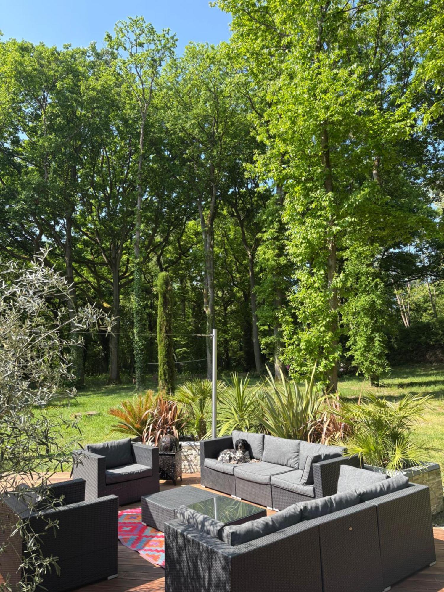 Somptueuse Villa D'Architecte Rochefort-en-Yvelines Exterior foto